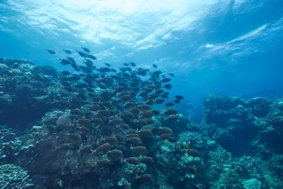 Египет. Красное море