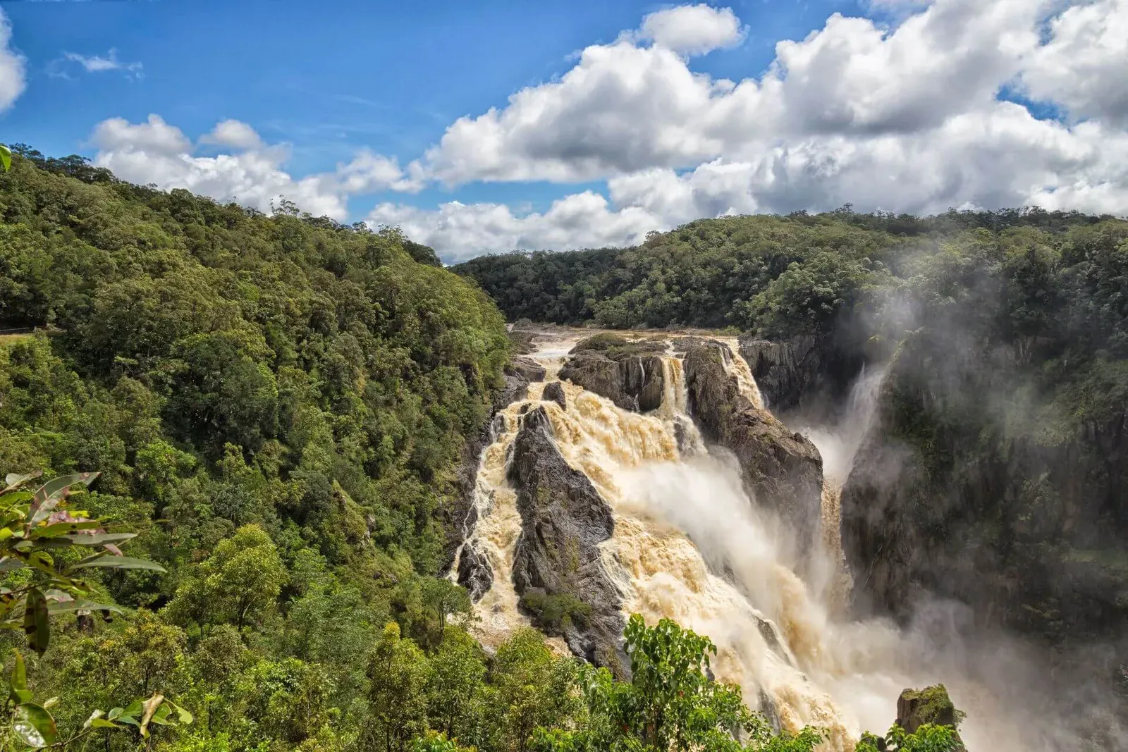 Водопад Баррон в сезон дождей среди джунглей