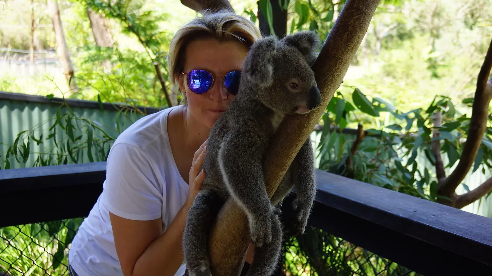Девушка с коалой в заповеднике