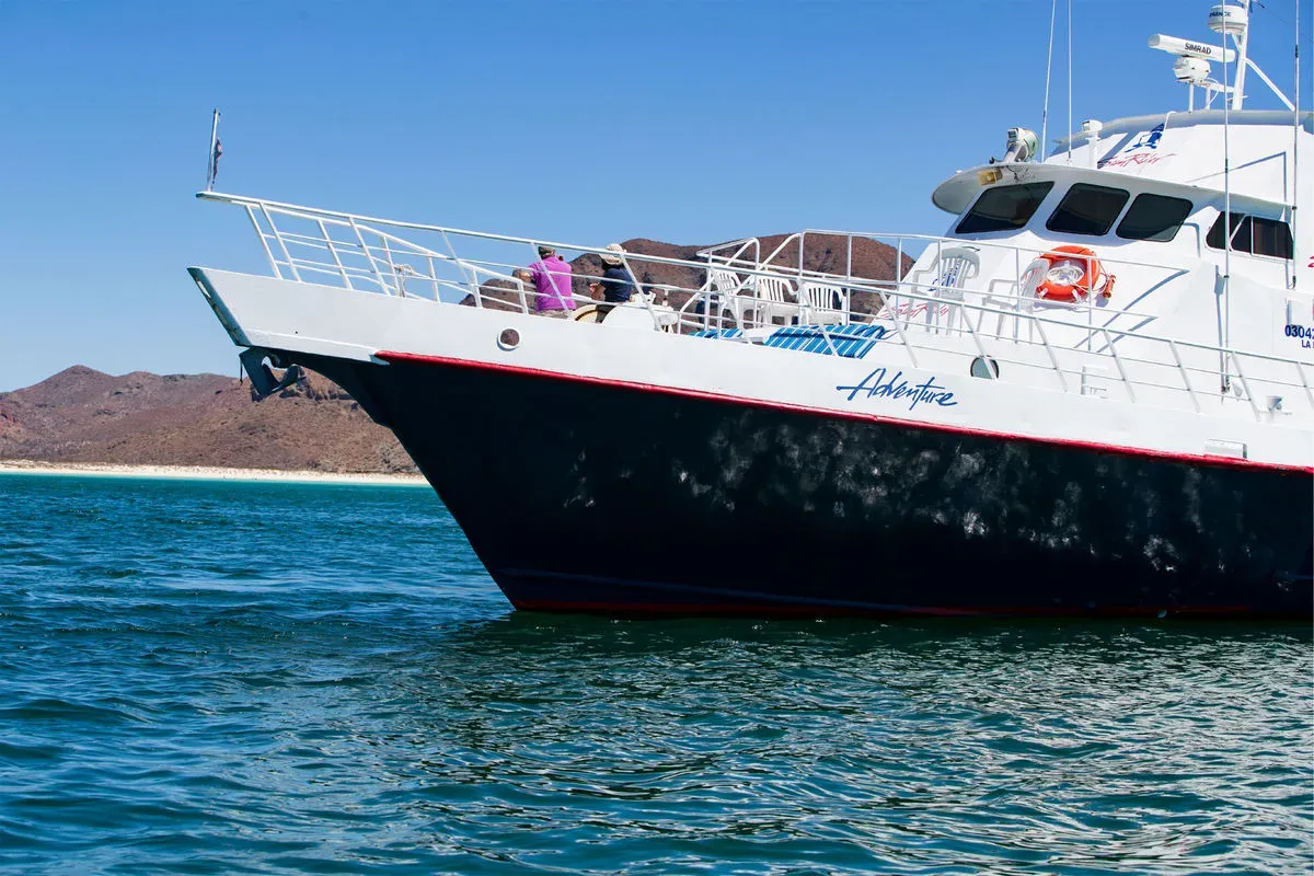 Adventure — фото 10, дайвинг Мексика