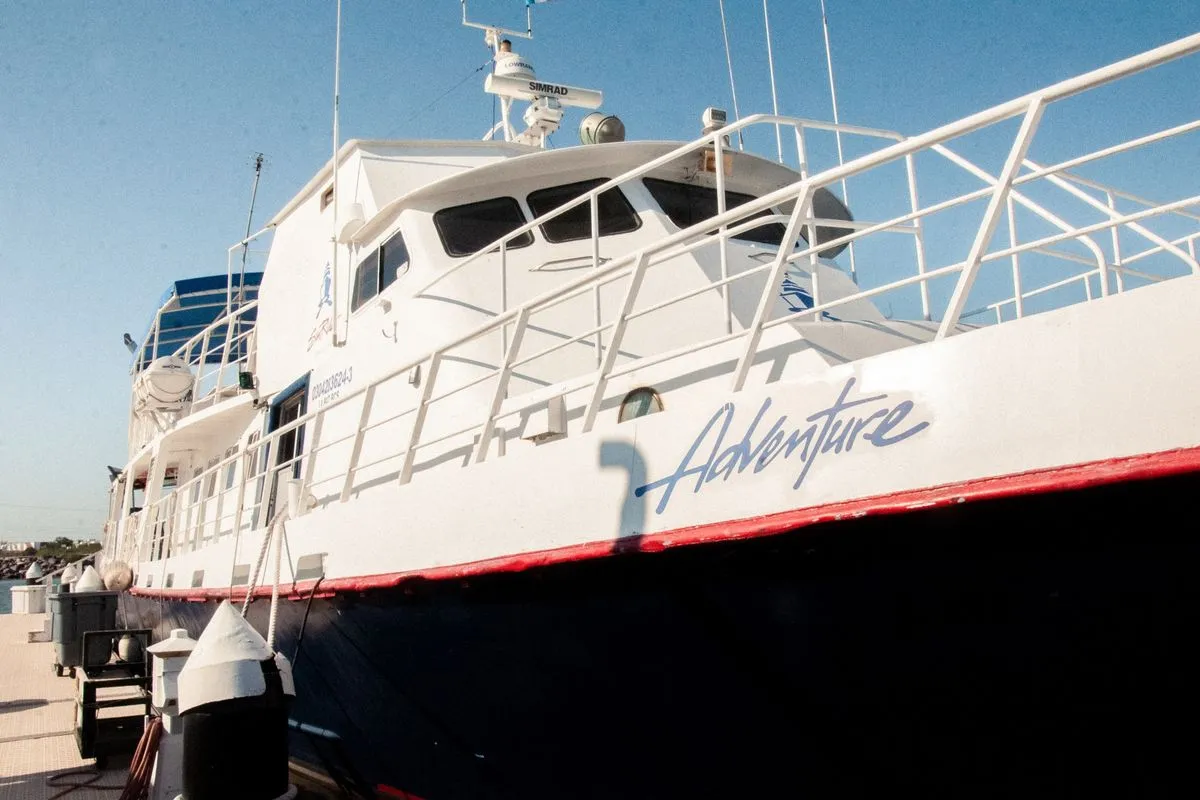 Adventure — фото 11, дайвинг Мексика