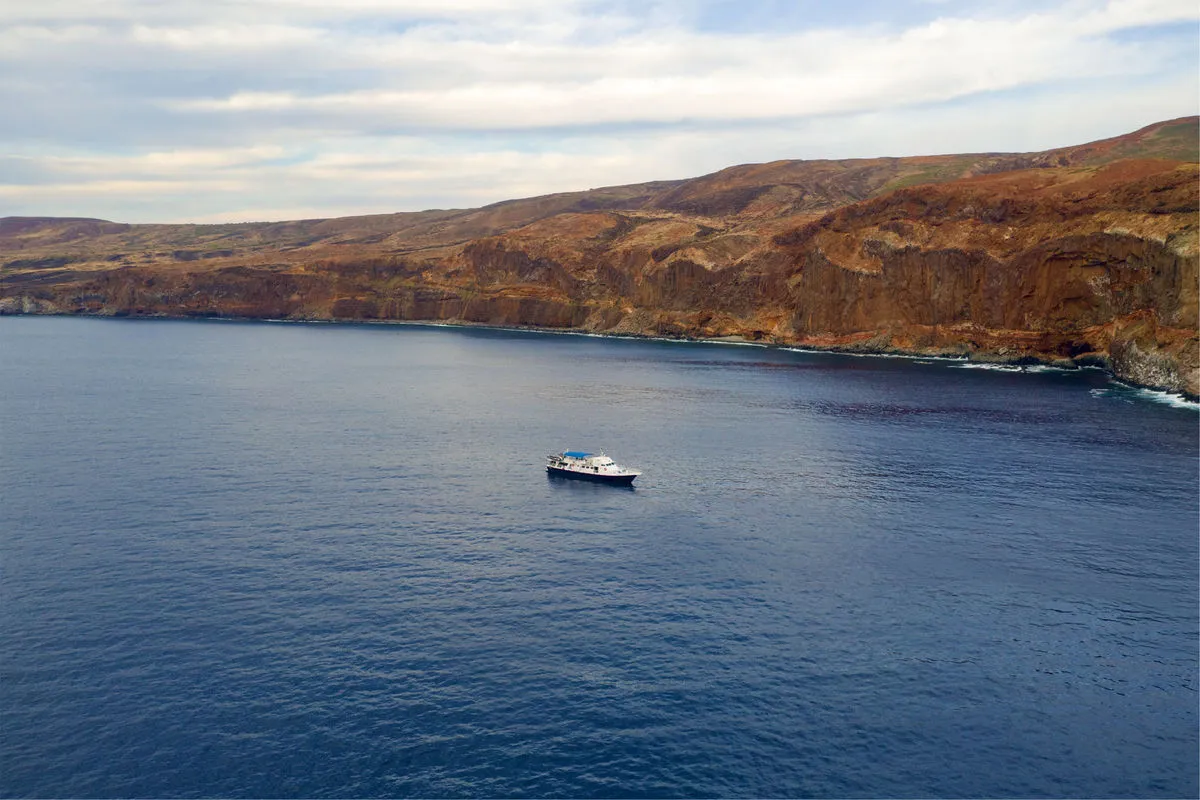 Adventure — фото 13, дайвинг Мексика