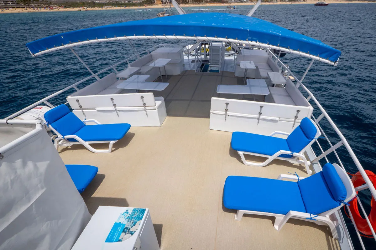 Adventure — фото 15, дайвинг Мексика