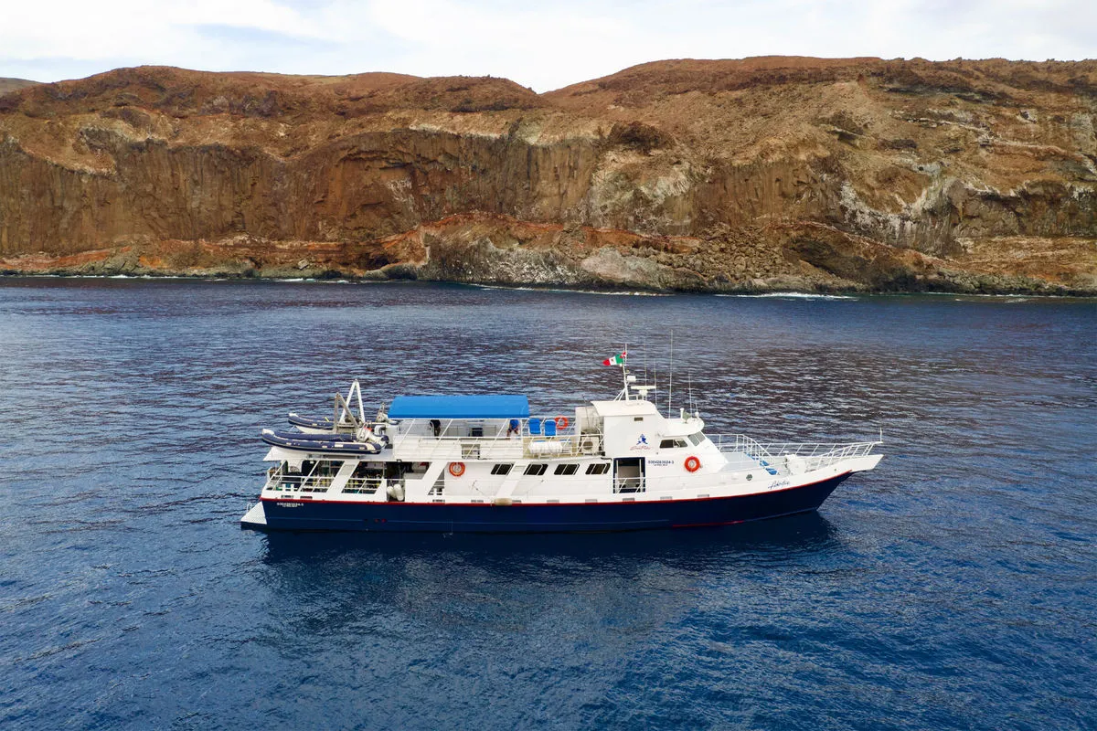 Adventure — фото 9, дайвинг Мексика