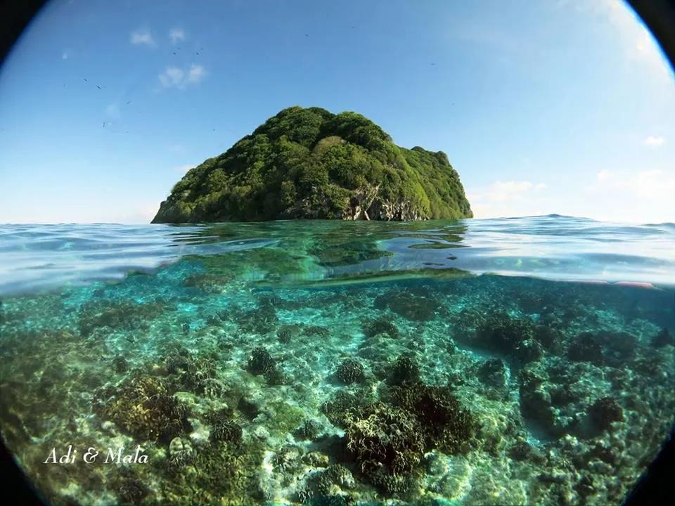 Akomo Isseki — фото 32, дайвинг Индонезия