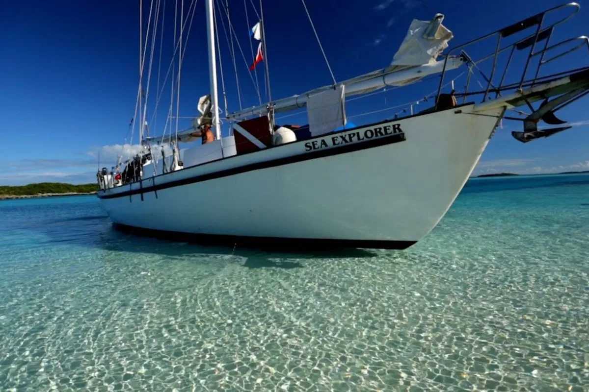 All Star Blackbeards Sea Explorer — фото 9, дайвинг Багамы