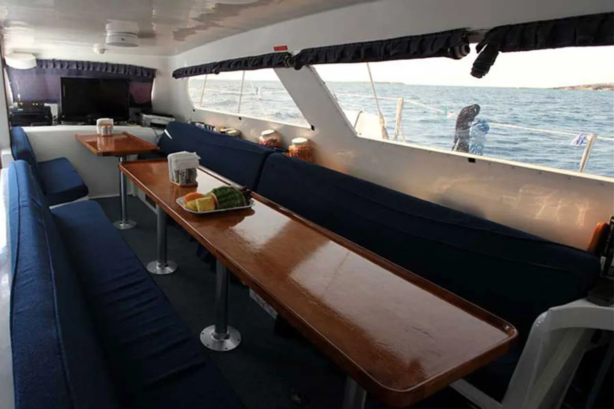 All Star Cat Ppalu — фото 8, дайвинг Багамы