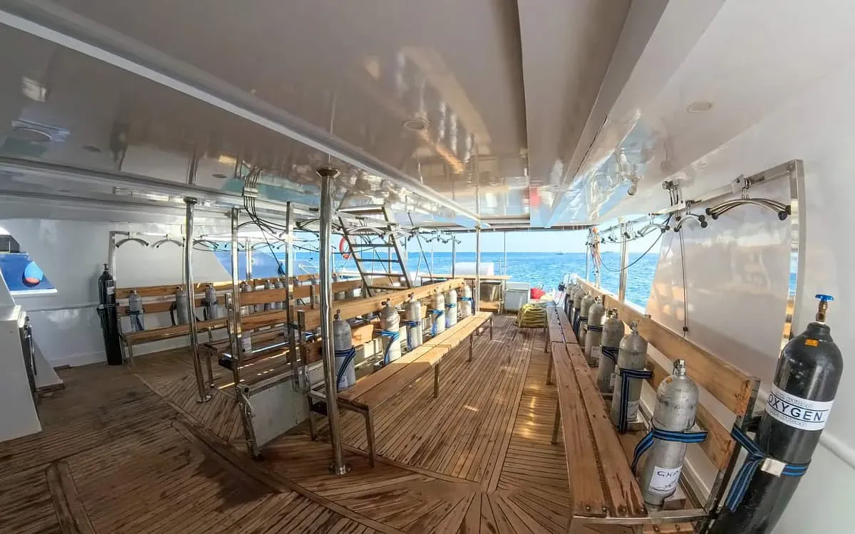 All Star Ghani dive deck