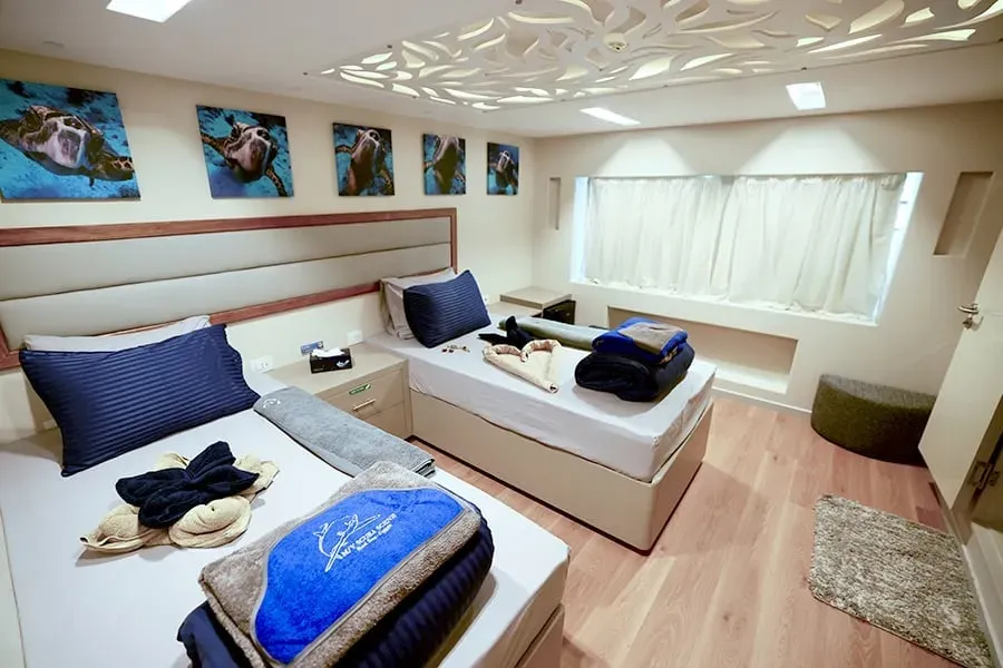 All Star Red Sea interior