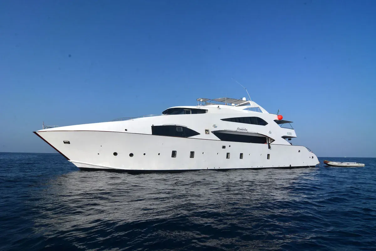 Almonda — фото 7, дайвинг Саудовская Аравия