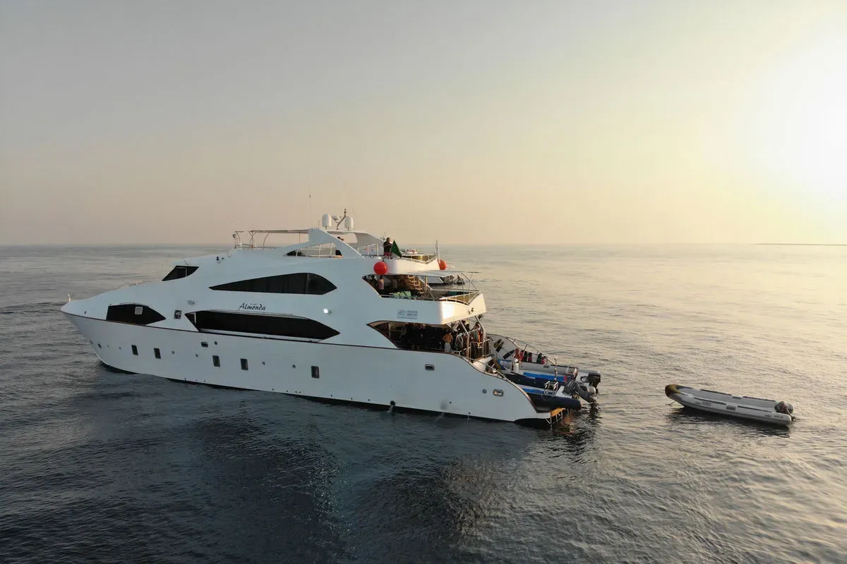 Almonda — фото 9, дайвинг Саудовская Аравия