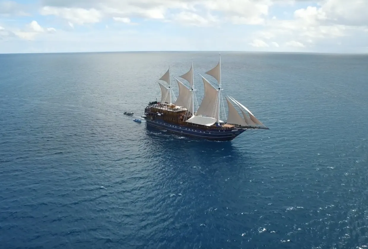 Amira — фото 56, дайвинг Индонезия