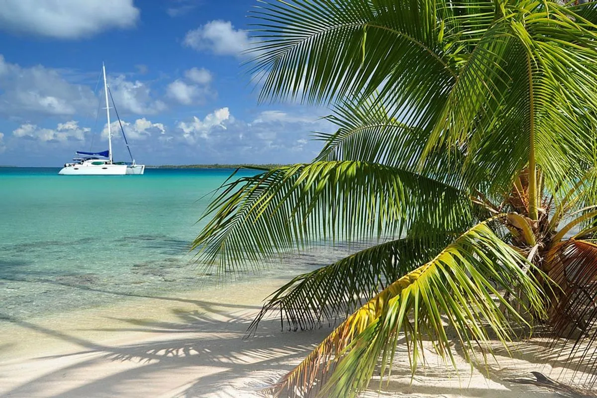 Aqua Tiki II — фото 3, дайвинг Полинезия