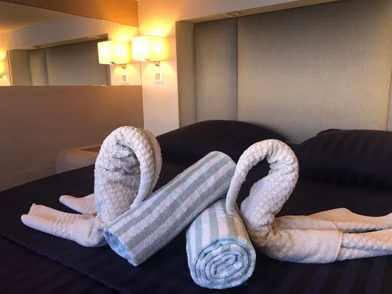 VIP Double Cabin — фото каюты