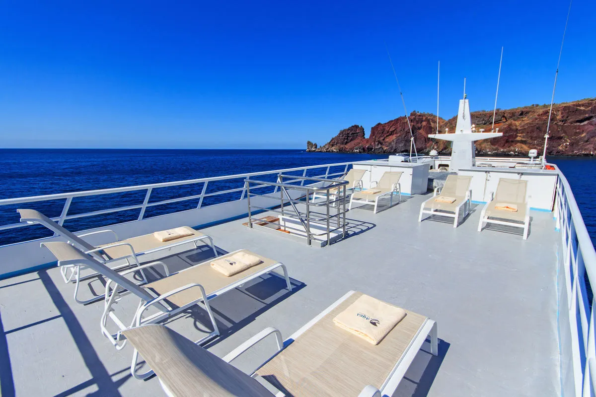 Aqua — фото 12, дайвинг Галапагосы