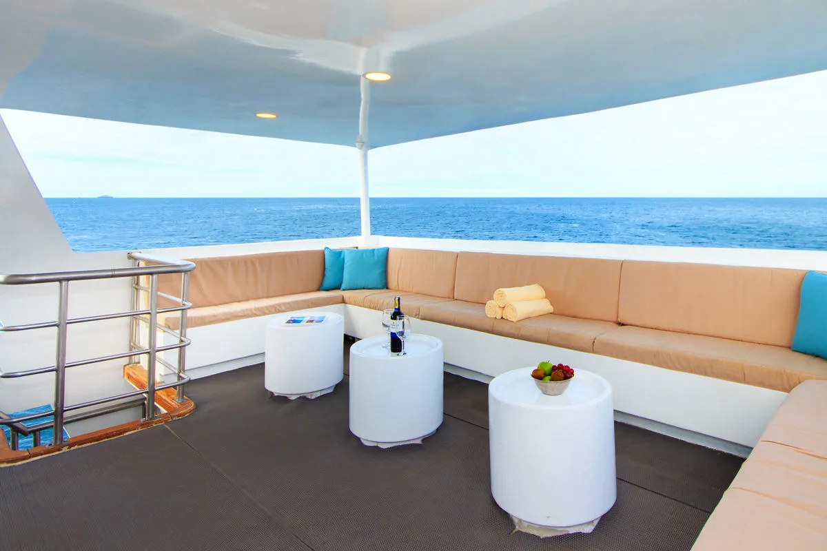 Aqua — фото 14, дайвинг Галапагосы