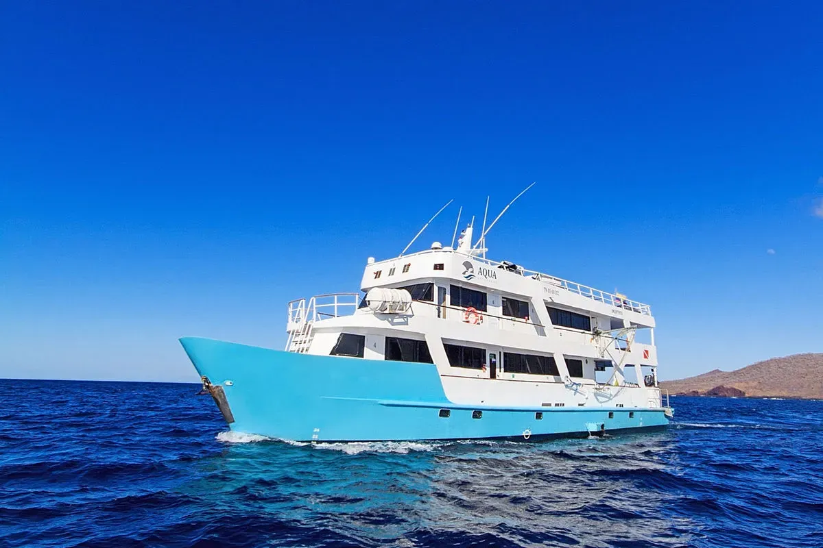 Aqua — фото 7, дайвинг Галапагосы