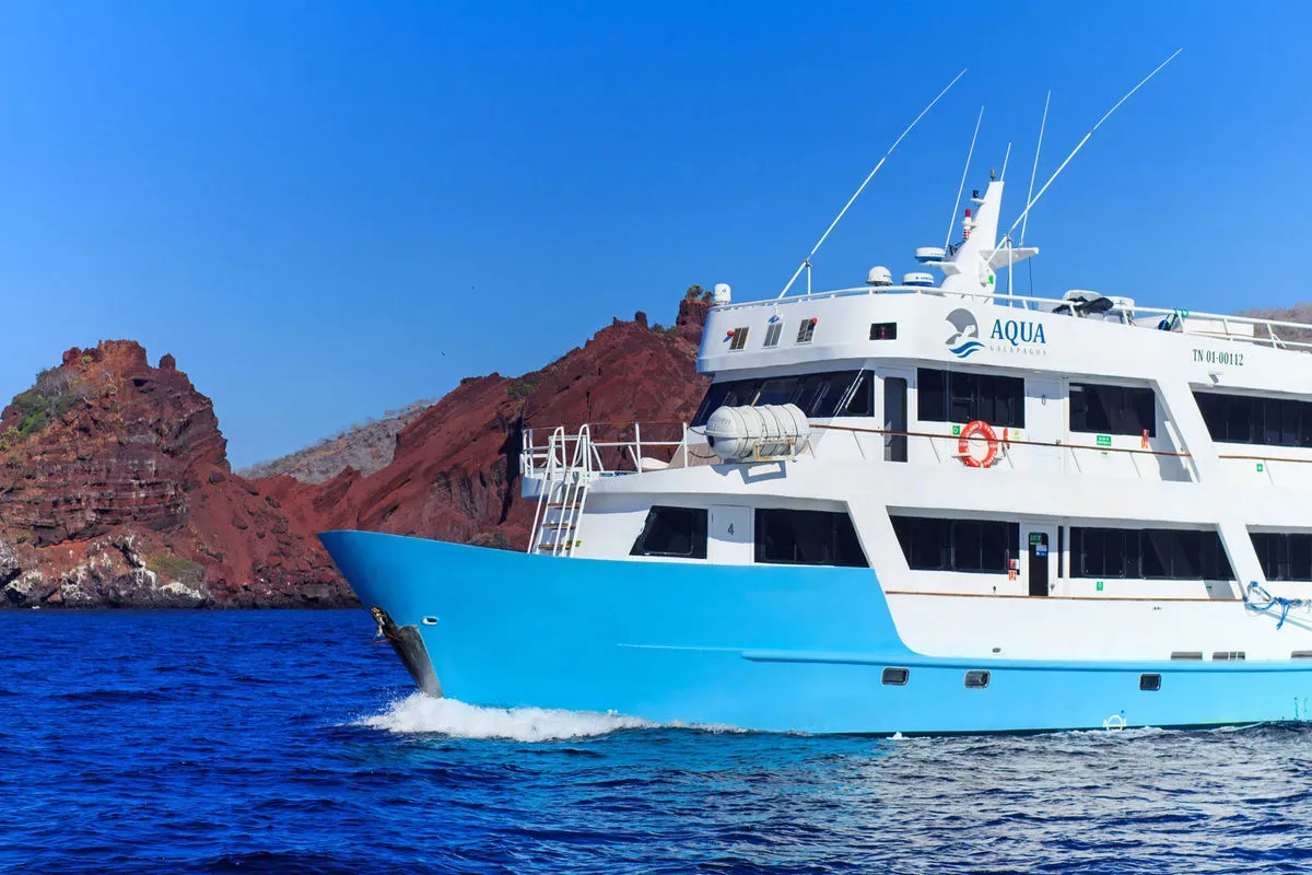 Aqua — фото 8, дайвинг Галапагосы