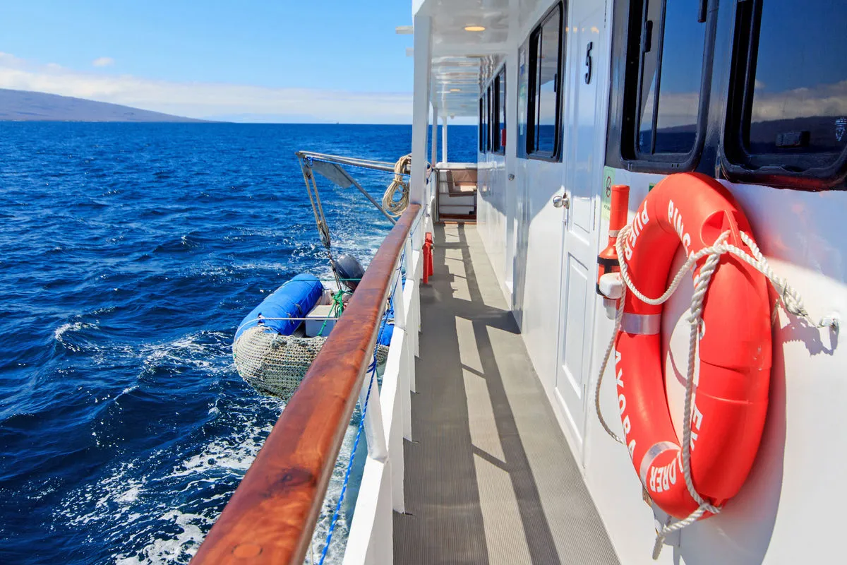 Aqua — фото 9, дайвинг Галапагосы