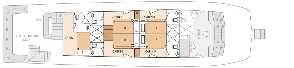 Upper Deck Standard — фото каюты