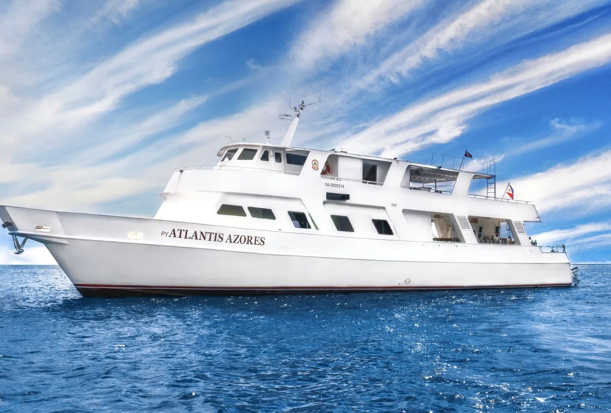 Atlantis Azores — лайвборд для дайвинг-сафари на Филиппины