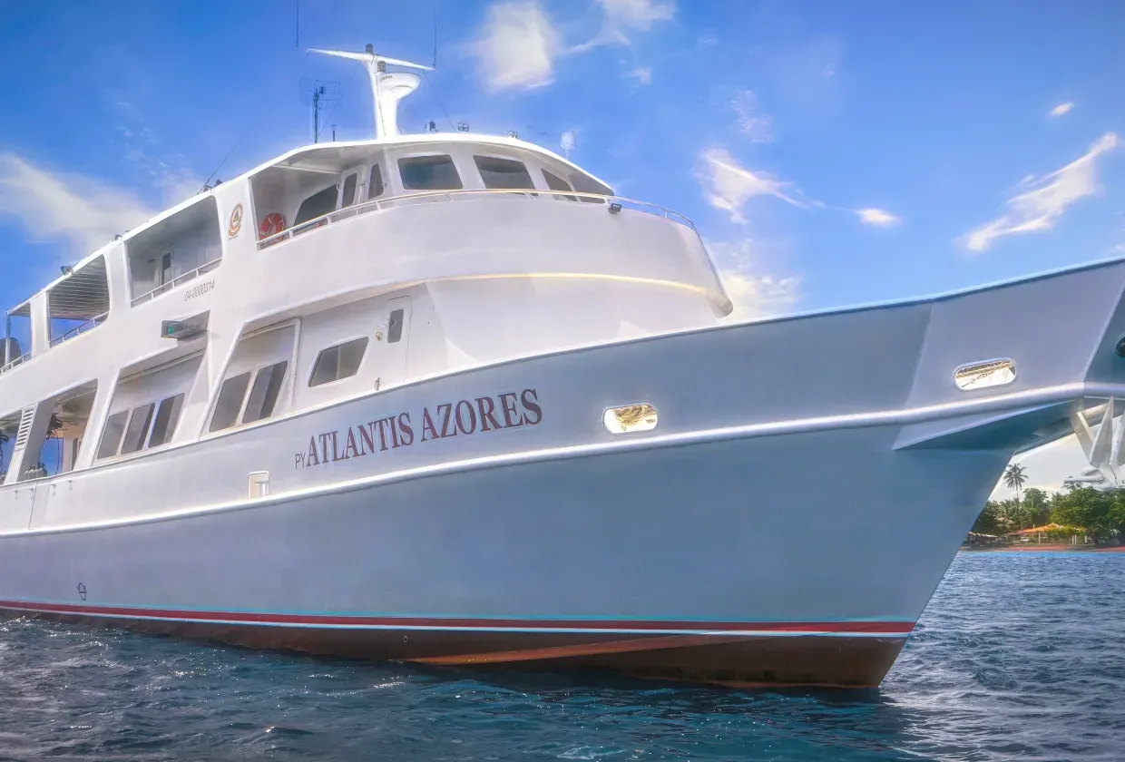 Atlantis Azores — фото 4, дайвинг Филиппины