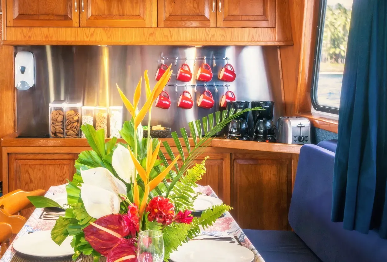 Atlantis Azores — фото 5, дайвинг Филиппины