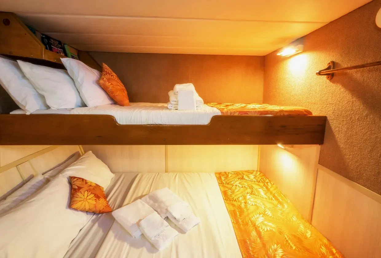 Atlantis Azores — фото 8, дайвинг Филиппины