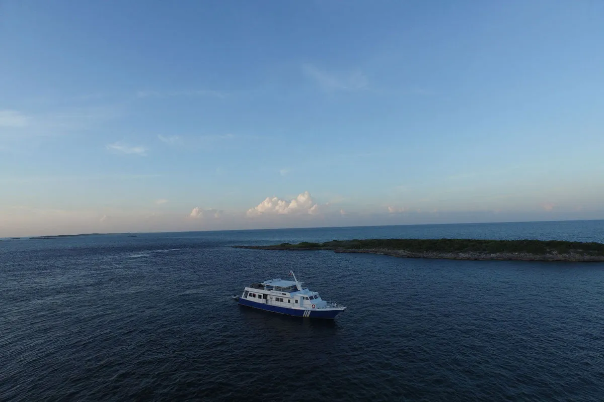 Bahamas Aggressor — фото 11, дайвинг Багамы