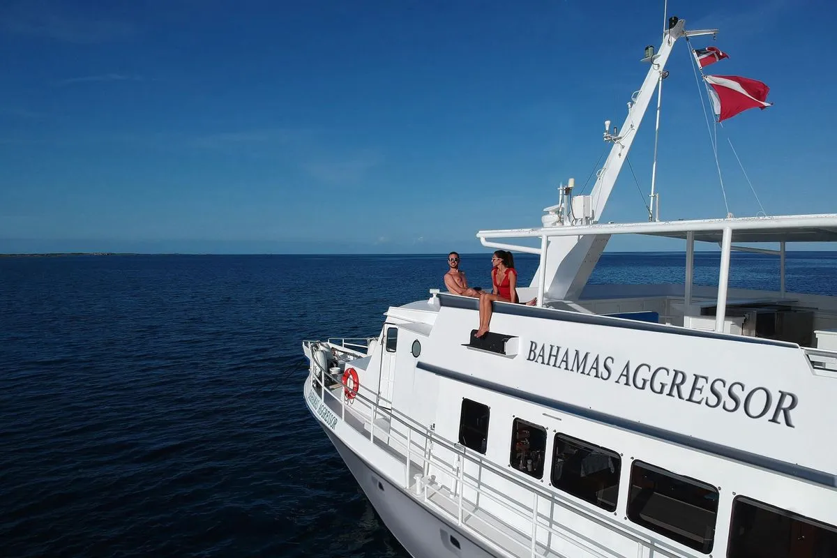 Bahamas Aggressor — фото 13, дайвинг Багамы