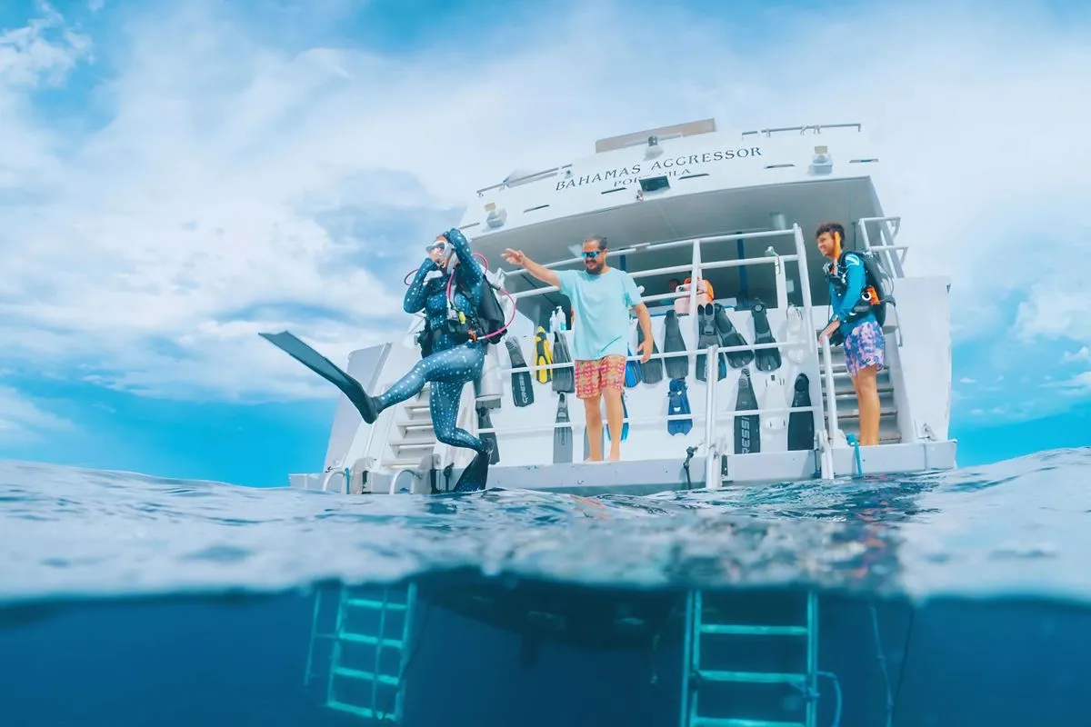 Bahamas Aggressor — фото 14, дайвинг Багамы