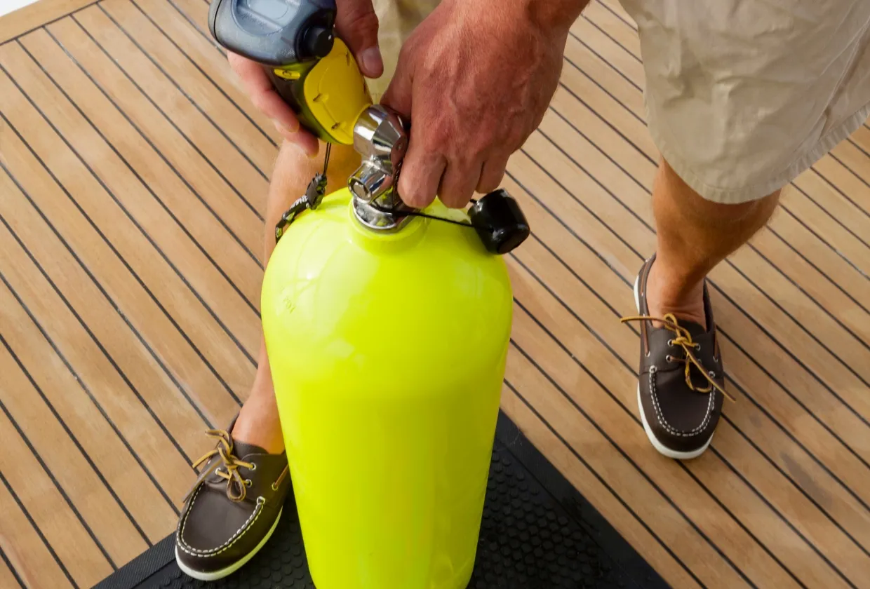 Bahamas Aggressor — фото 27, дайвинг Багамы