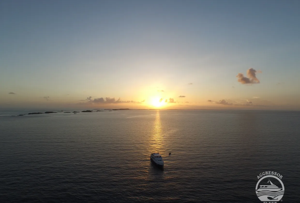 Bahamas Aggressor — фото 30, дайвинг Багамы