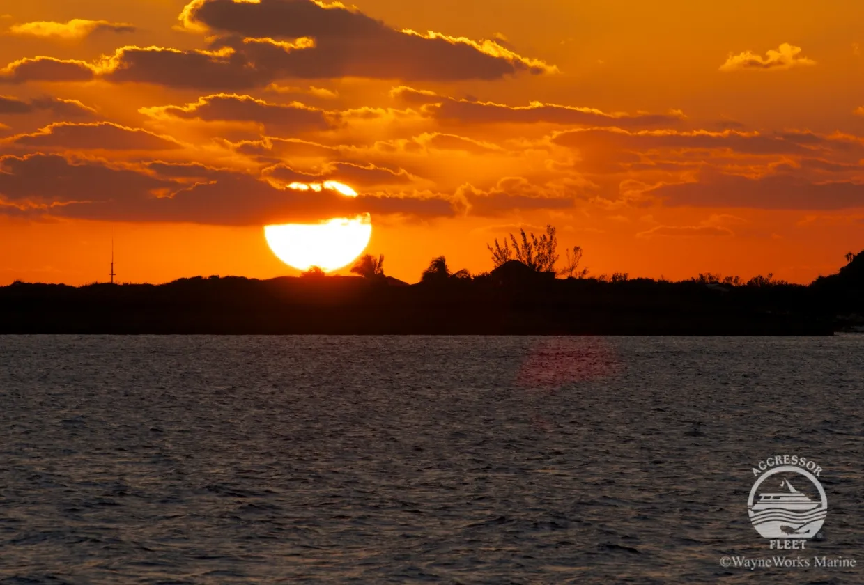 Bahamas Aggressor — фото 31, дайвинг Багамы