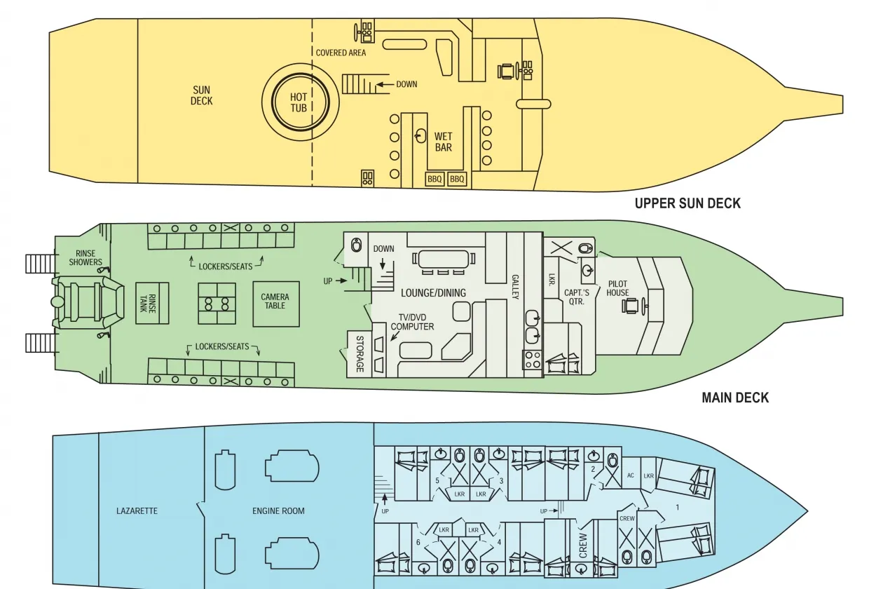 Bahamas Aggressor — фото 32, дайвинг Багамы
