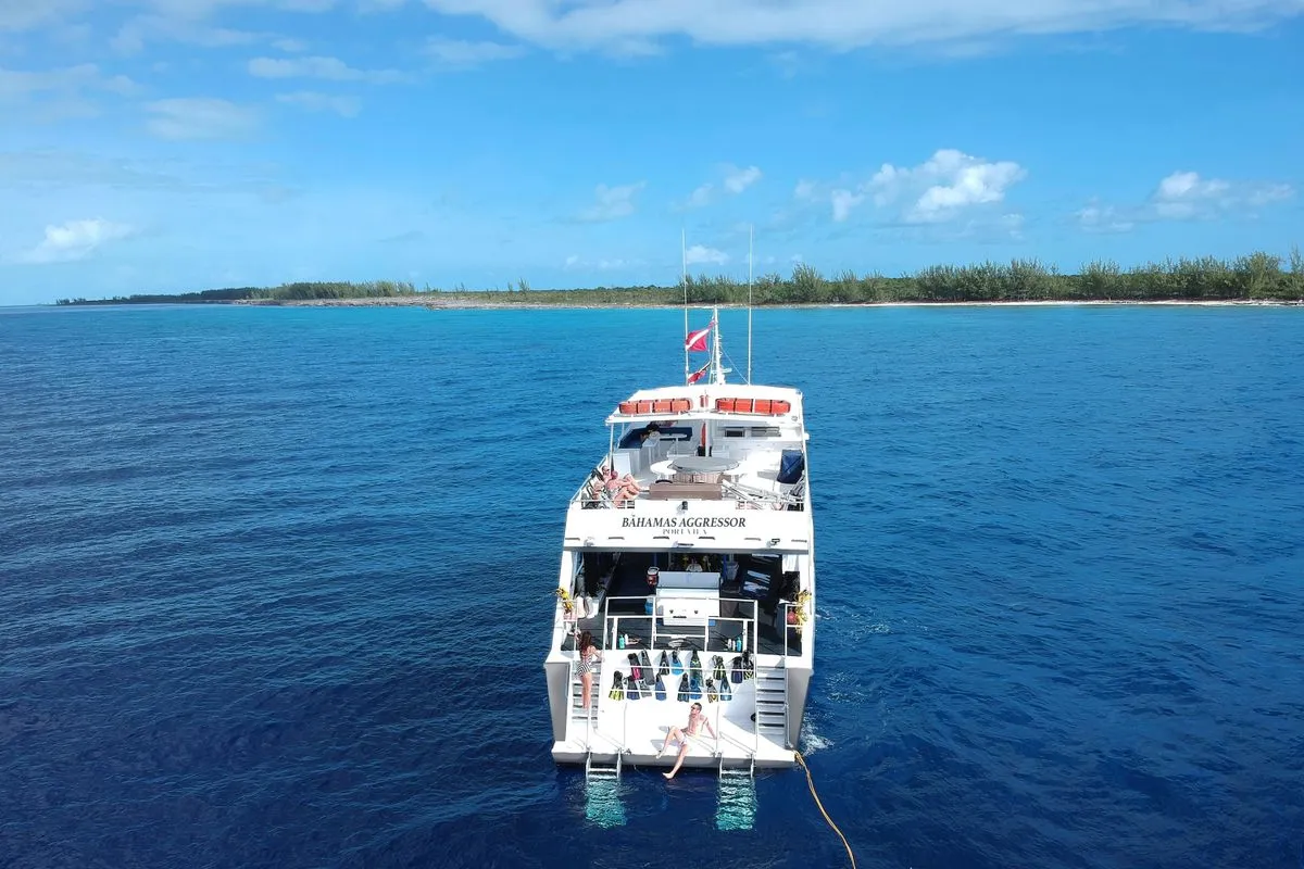 Bahamas Aggressor — фото 9, дайвинг Багамы