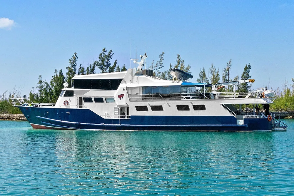 Bahamas Master — фото 2, дайвинг Багамы