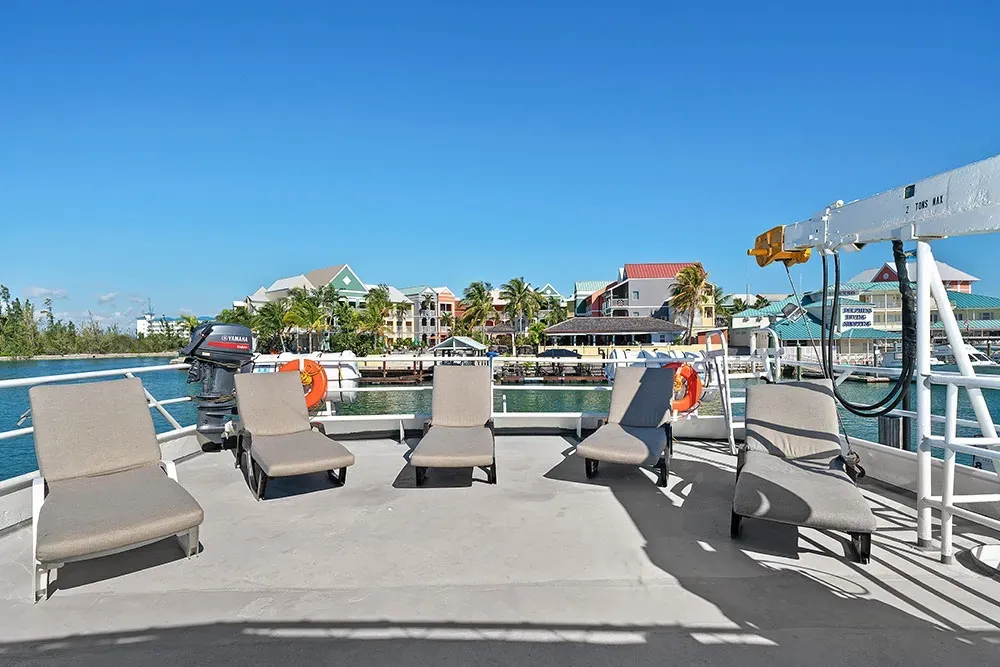 Bahamas Master — фото 3, дайвинг Багамы