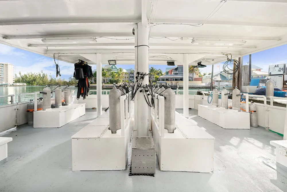 Bahamas Master — фото 4, дайвинг Багамы