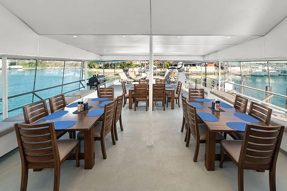 Bahamas Master — фото 6, дайвинг Багамы