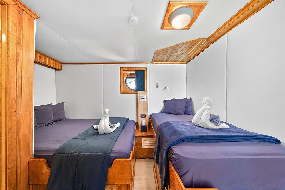 Bahamas Master — фото 9, дайвинг Багамы