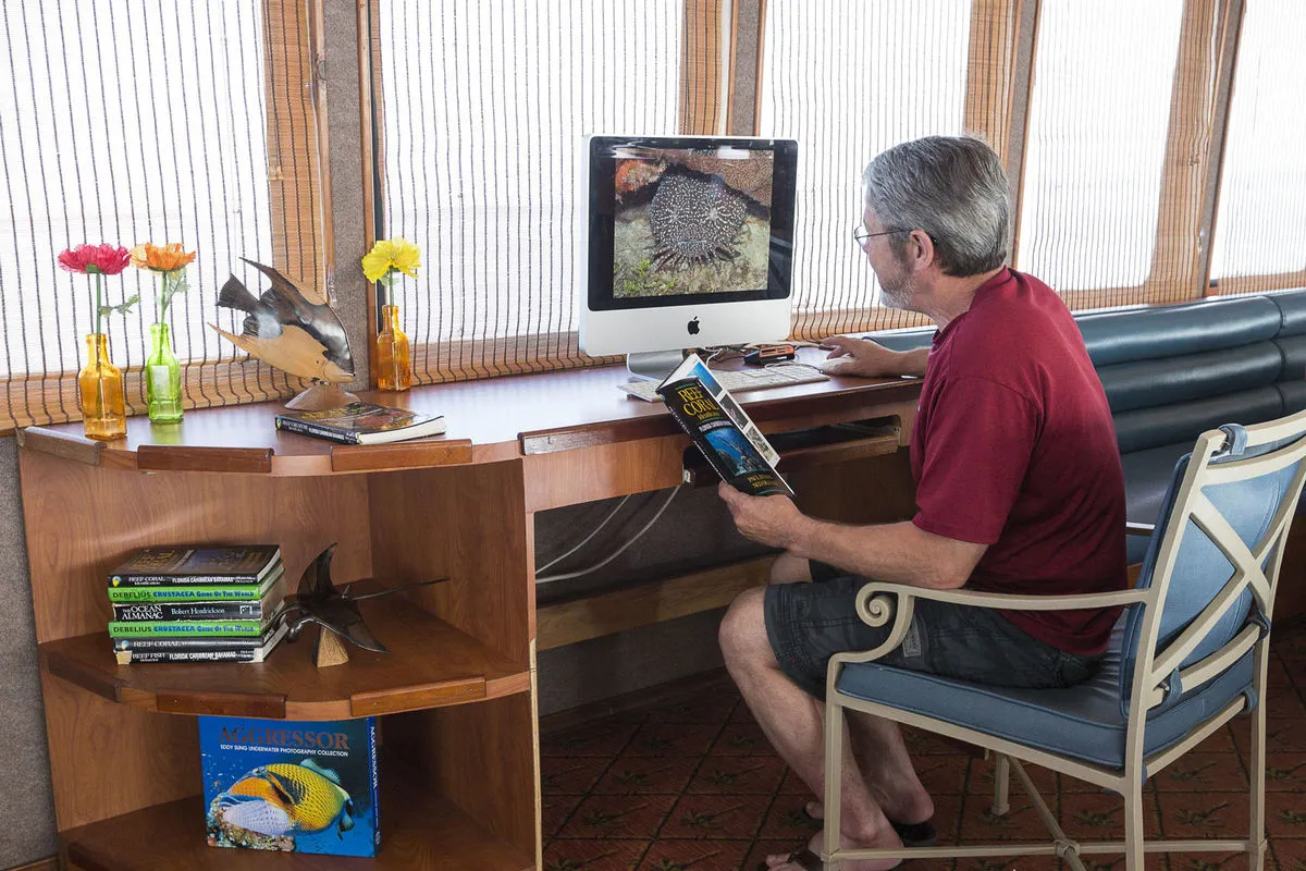 Belize Aggressor IV — фото 10, дайвинг Белиз