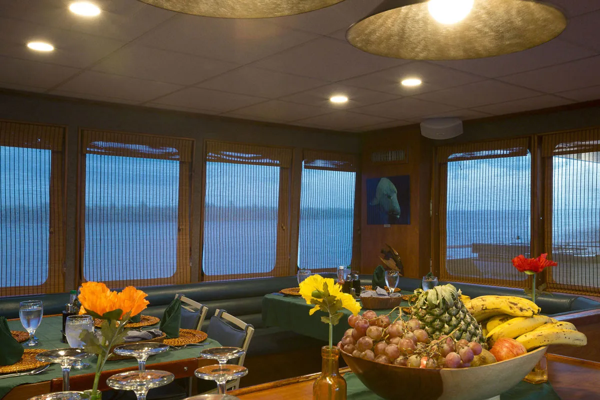 Belize Aggressor IV — фото 13, дайвинг Белиз