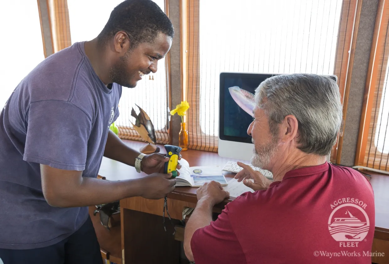 Belize Aggressor IV — фото 19, дайвинг Белиз