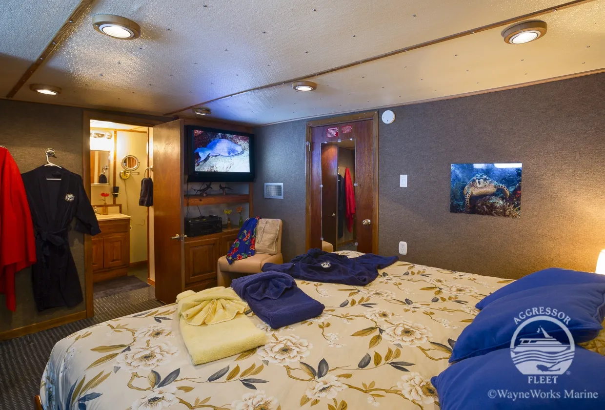 Belize Aggressor IV — фото 21, дайвинг Белиз