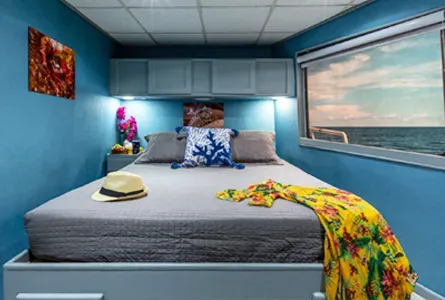 Master Stateroom — фото каюты