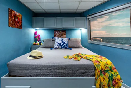 Master Stateroom — фото каюты