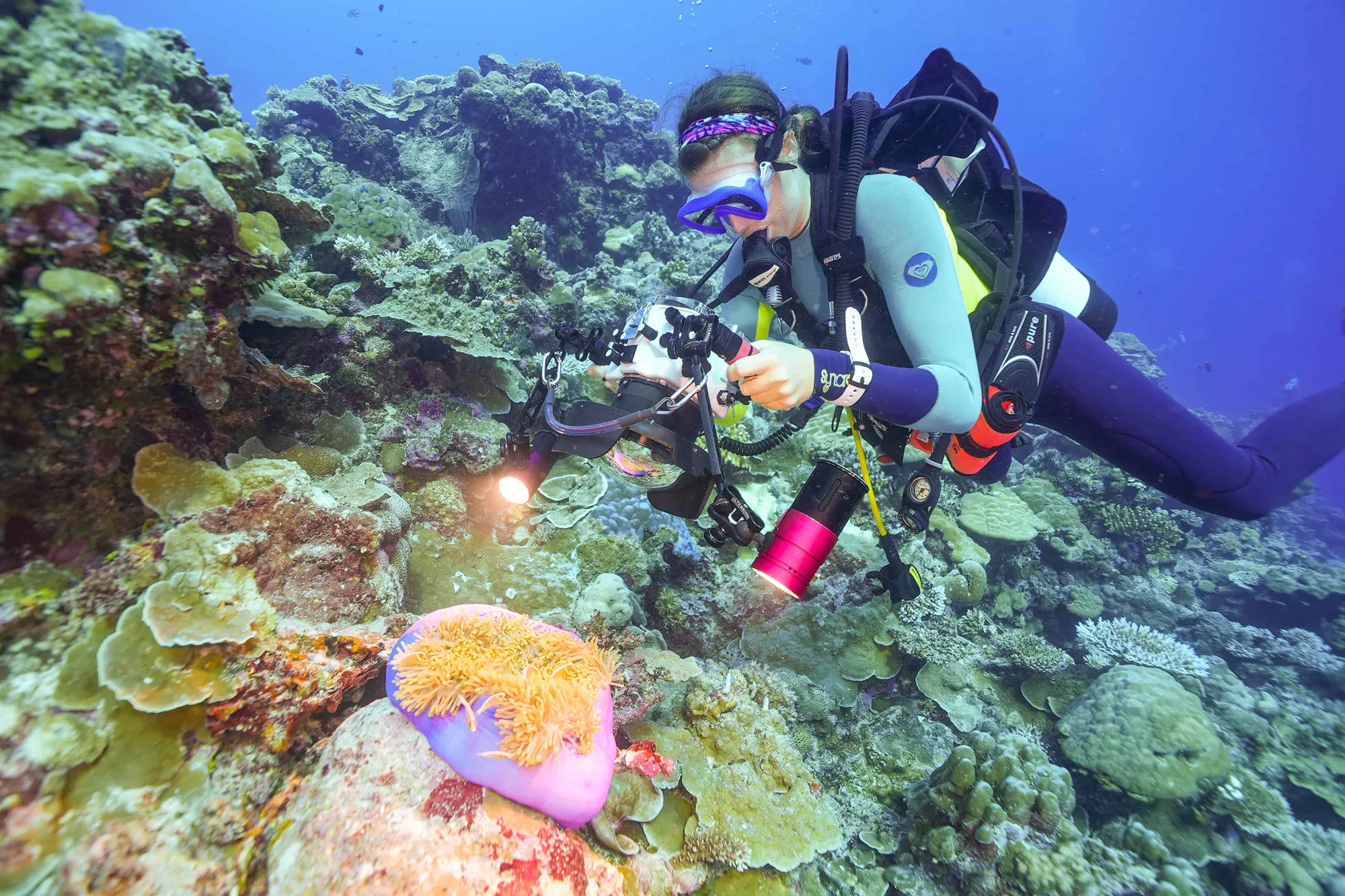 Underwater photographer on a Palau reef
