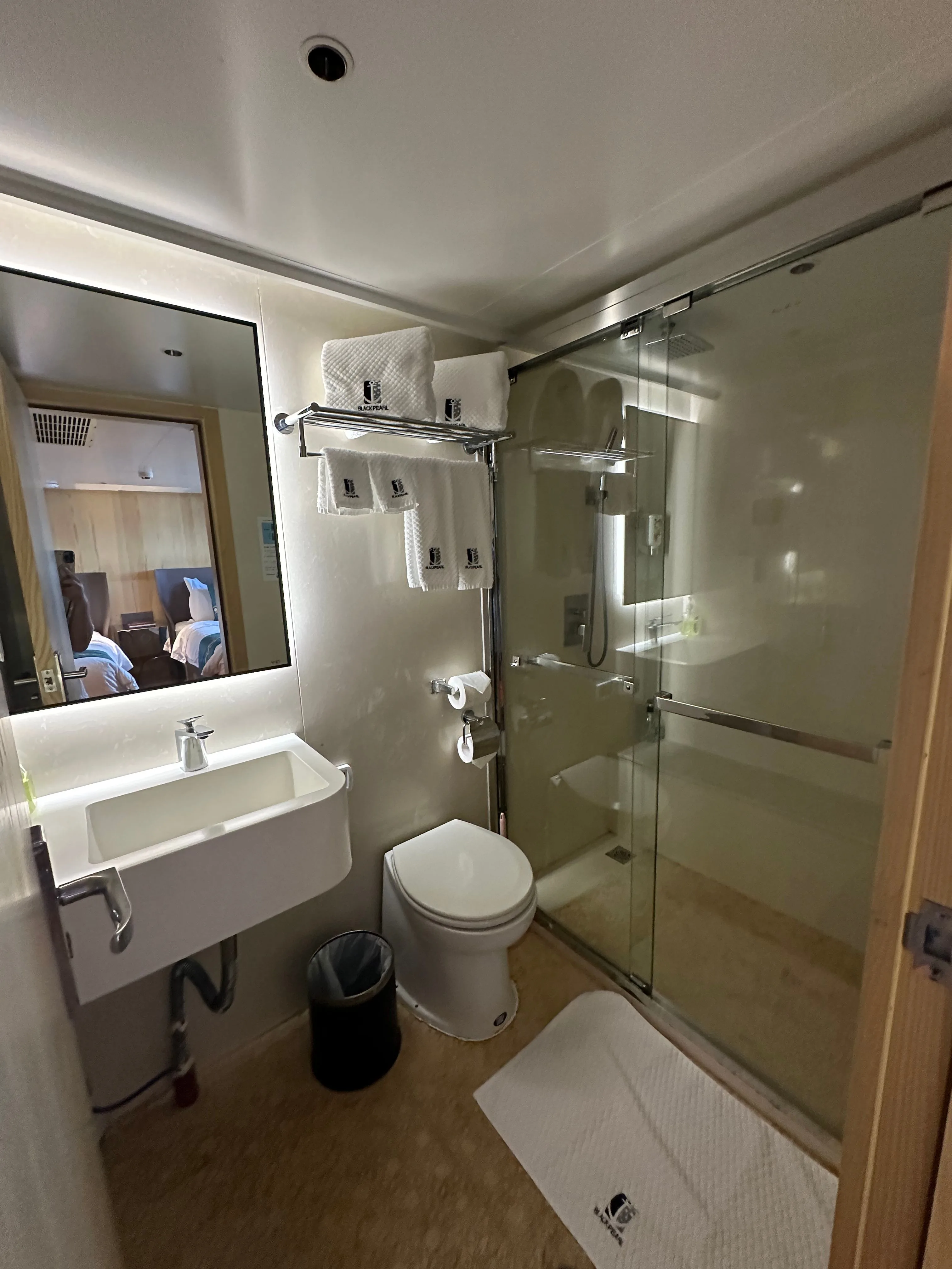 Deluxe Twin bathroom on Black Pearl — shower cubicle and washbasin