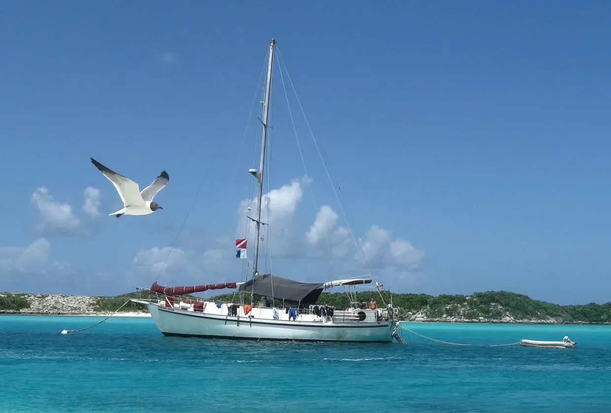 Blackbeard`s Morning Star